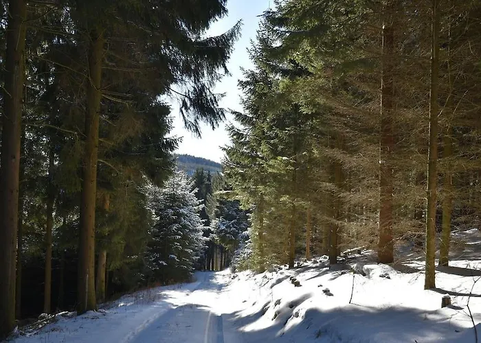 公寓 Geraeumige 90 Sqm Im Erholungsort 贝斯特维格